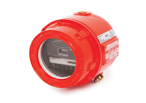 Conventional - UV IR2 EXD Flame Detector
