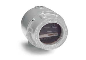 Conventional - Dual IR2 EXD 316 Steel Flame Detect